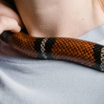 Психологические манипуляции казино с бездепозитными программами