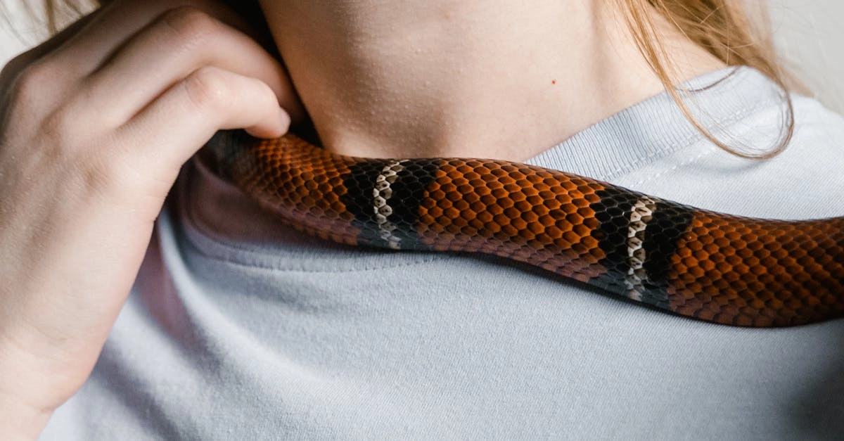 Психологические манипуляции казино с бездепозитными программами